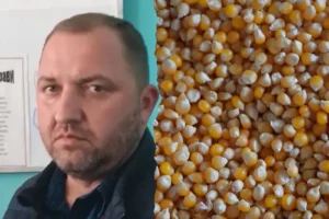 Піраміда на зерновому ринку України. «Главком» оприлюднив ексклюзивні подробиці скандальної справи