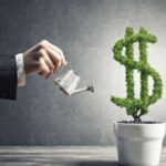 Капітальні інвестиції в Україні у 2025 році зросли на 203