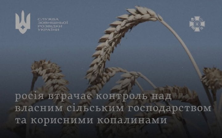 таджицькі аграрії можуть вирощувати олійні культури в РФ новини LB.ua