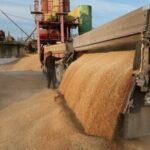 ЄС виділив до 1 млн євро на тимчасове зберігання зерна України