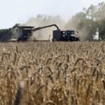 Україна за 118 серпня експортувала всього лиш 8996 тис. тонн