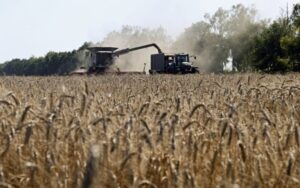 Україна за 118 серпня експортувала всього лиш 8996 тис. тонн