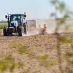 В Україні засіяли 16 млн га озимих зернових – дані Мінагро