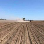 Аграрії України зібрали 391 млн тонн зернових із 681 площ