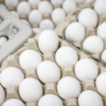 Україна відкрила 29 нових напрямків агроекспорту у 2026 році