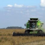 Жнива в Україні: зібрали 417 млн тонн зернових і 169 млн тонн олійних