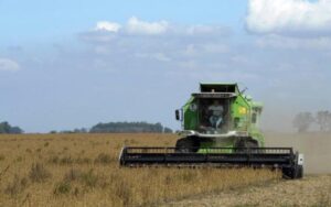 Жнива в Україні: зібрали 417 млн тонн зернових і 169 млн тонн олійних