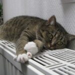 У Львові опалення стартує 30 жовтня в Одесі