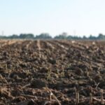 В Україні зросла середня вартість гектара землі: дані Мінагрополітики